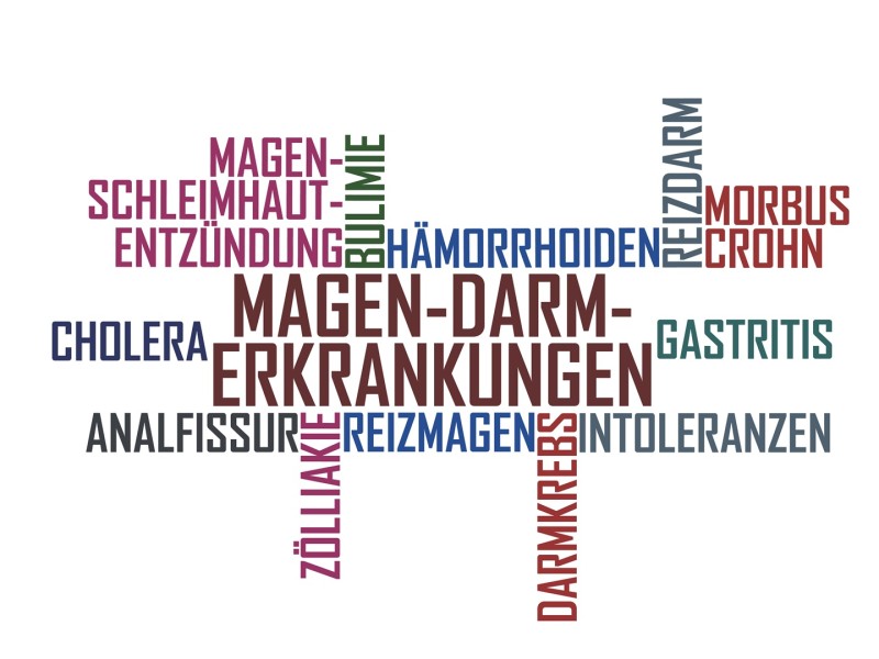 Magen-Darm-Erkrankungen &ndash; Wenn die Verdauung aus dem Gleichgewicht ger&auml;t