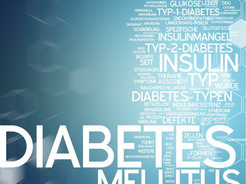Diabetes mellitus &ndash; Ern&auml;hrung als Schl&uuml;ssel zur Stabilit&auml;t